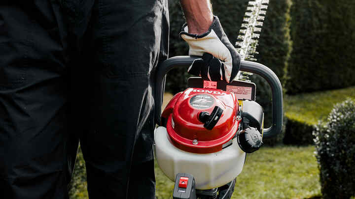 Muž držiaci plotostrih