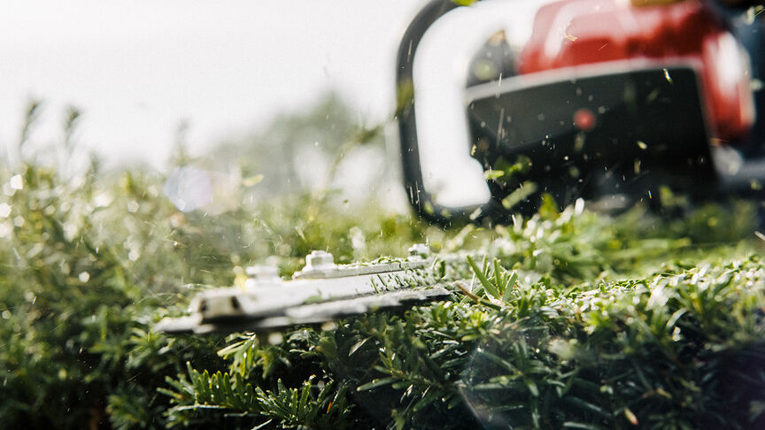 Muž používa plotostrih so slúchadlami na potlačenie hluku